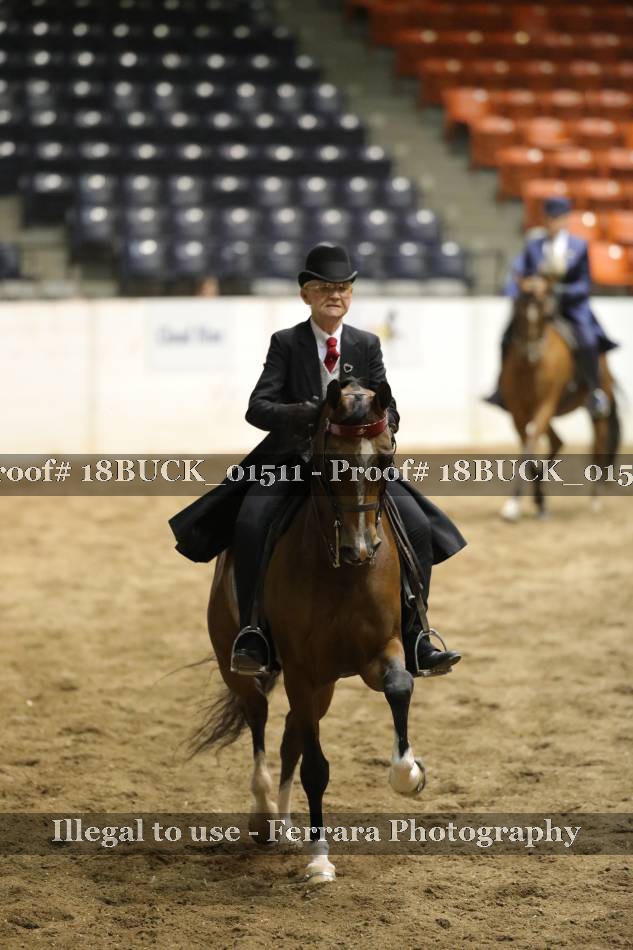 Proof 18BUCK_01511
