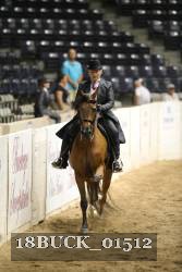 18BUCK_01512 proof