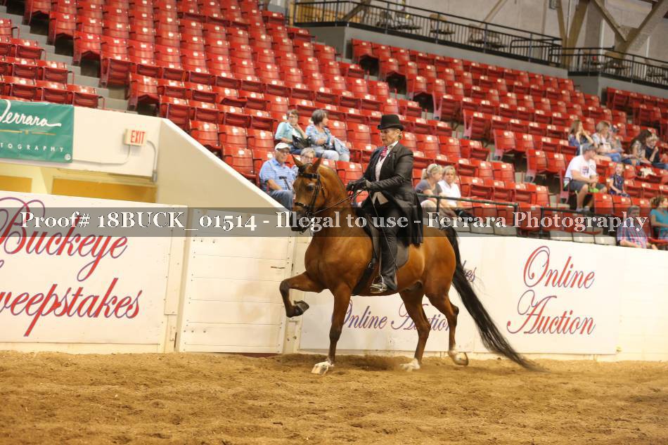 Proof 18BUCK_01514
