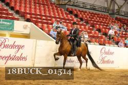 18BUCK_01514 proof