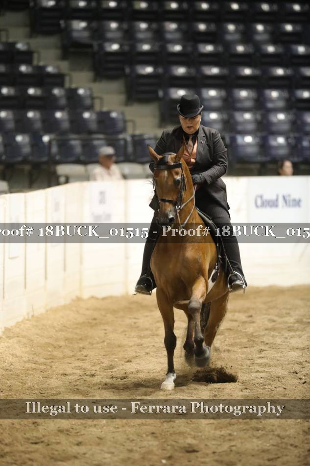 Proof 18BUCK_01515