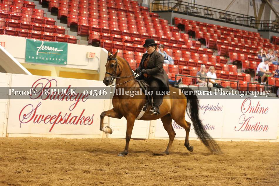 Proof 18BUCK_01516