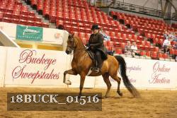 18BUCK_01516 proof