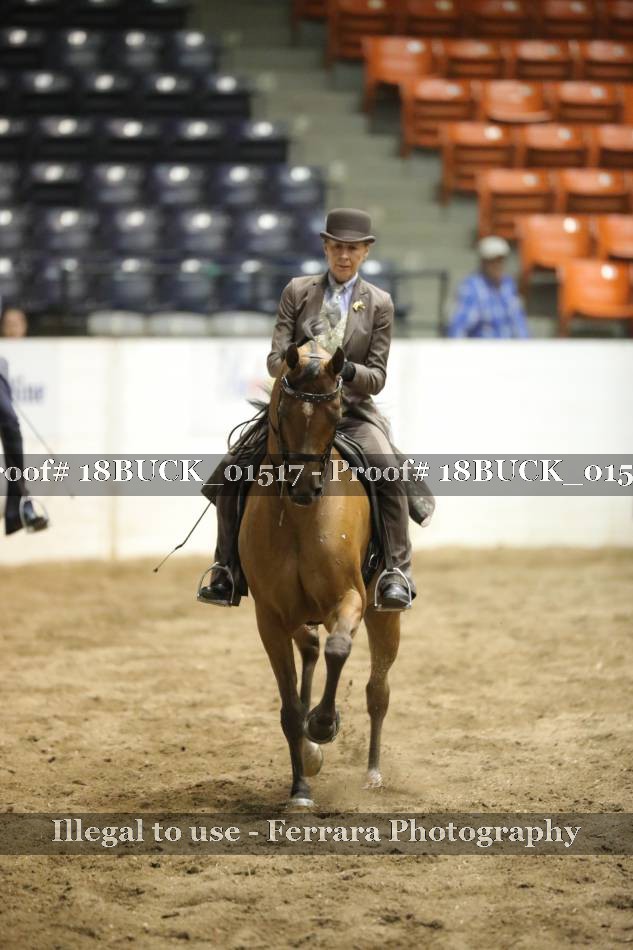 Proof 18BUCK_01517