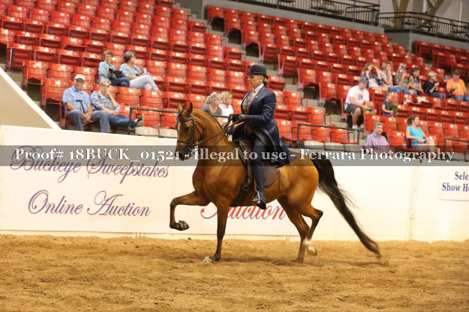 Proof 18BUCK_01521