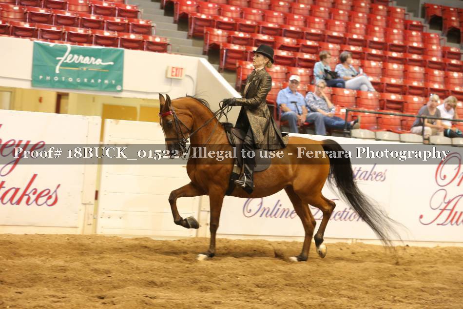Proof 18BUCK_01522