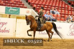 18BUCK_01522 proof