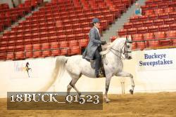 18BUCK_01523 proof