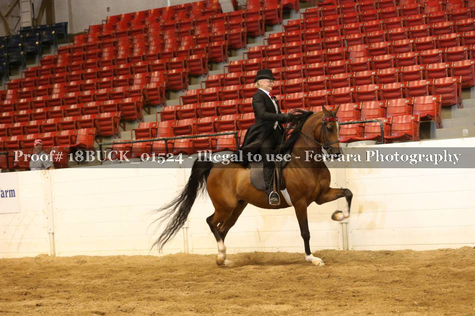Proof 18BUCK_01524