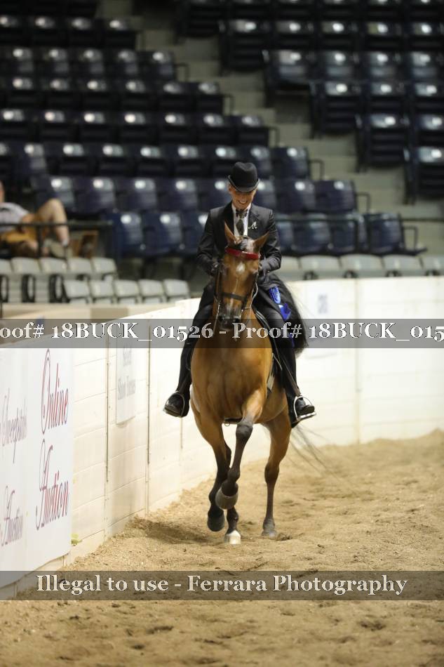 Proof 18BUCK_01526