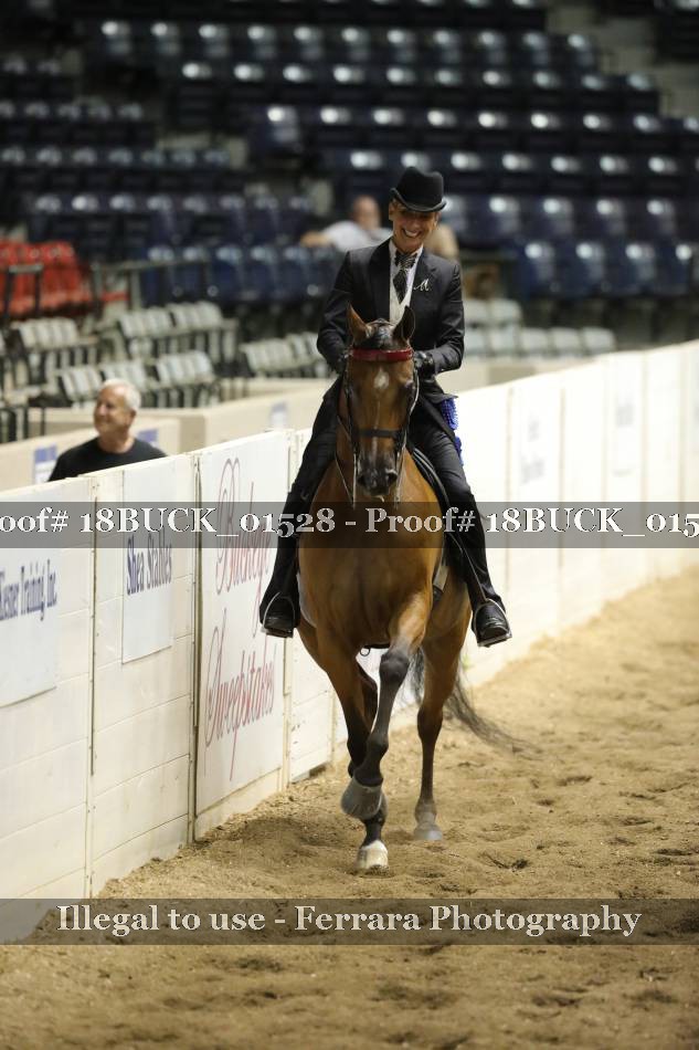 Proof 18BUCK_01528
