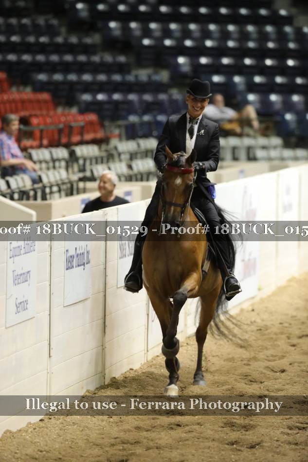 Proof 18BUCK_01529
