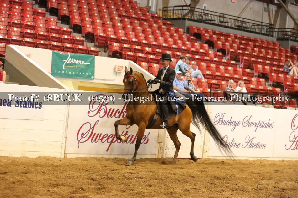 Proof 18BUCK_01530
