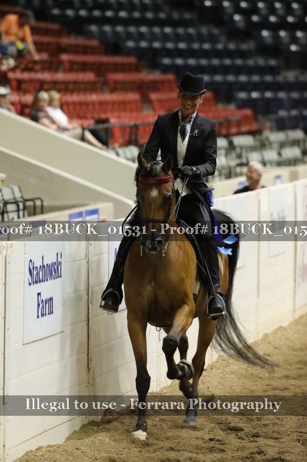 Proof 18BUCK_01531