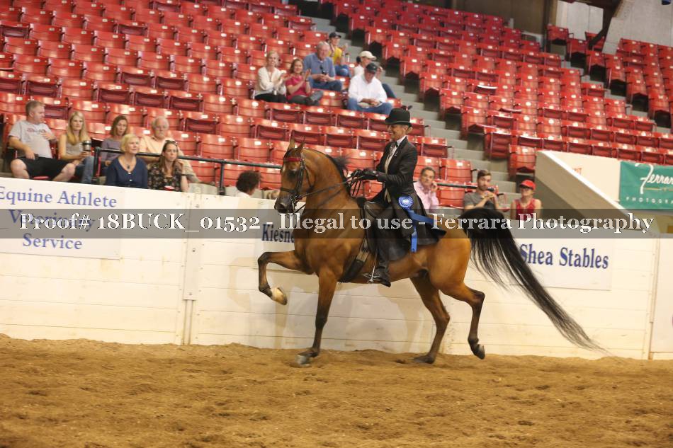 Proof 18BUCK_01532