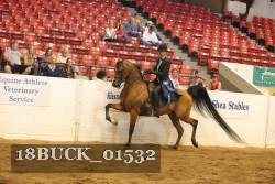 18BUCK_01532 proof