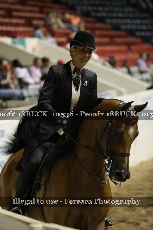 Proof 18BUCK_01536