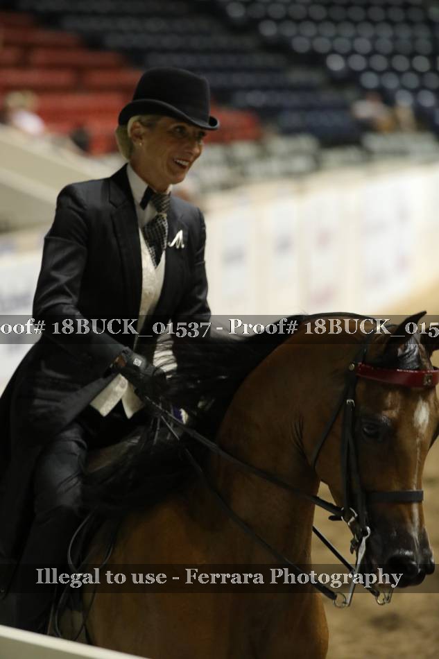 Proof 18BUCK_01537