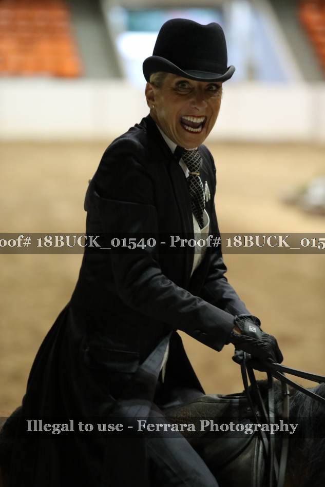 Proof 18BUCK_01540