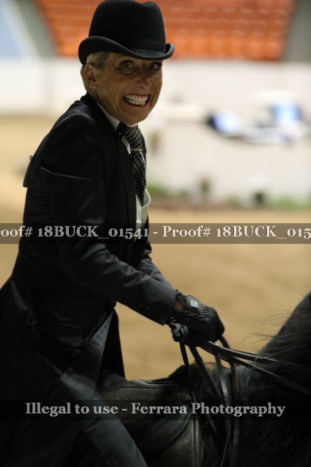 Proof 18BUCK_01541