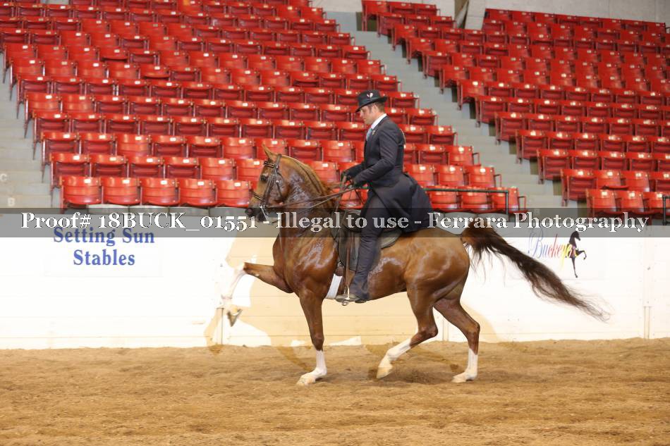 Proof 18BUCK_01551