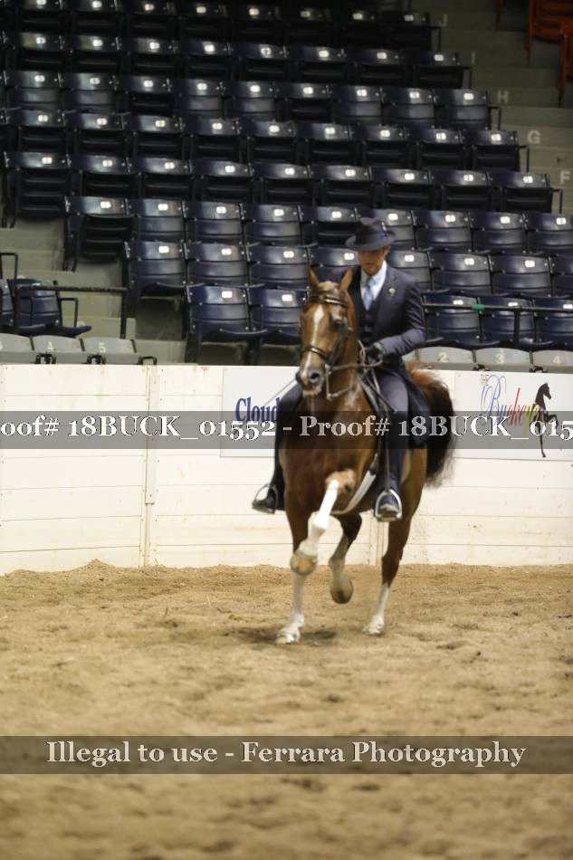 Proof 18BUCK_01552