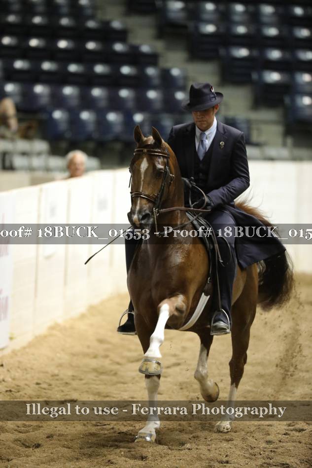 Proof 18BUCK_01553