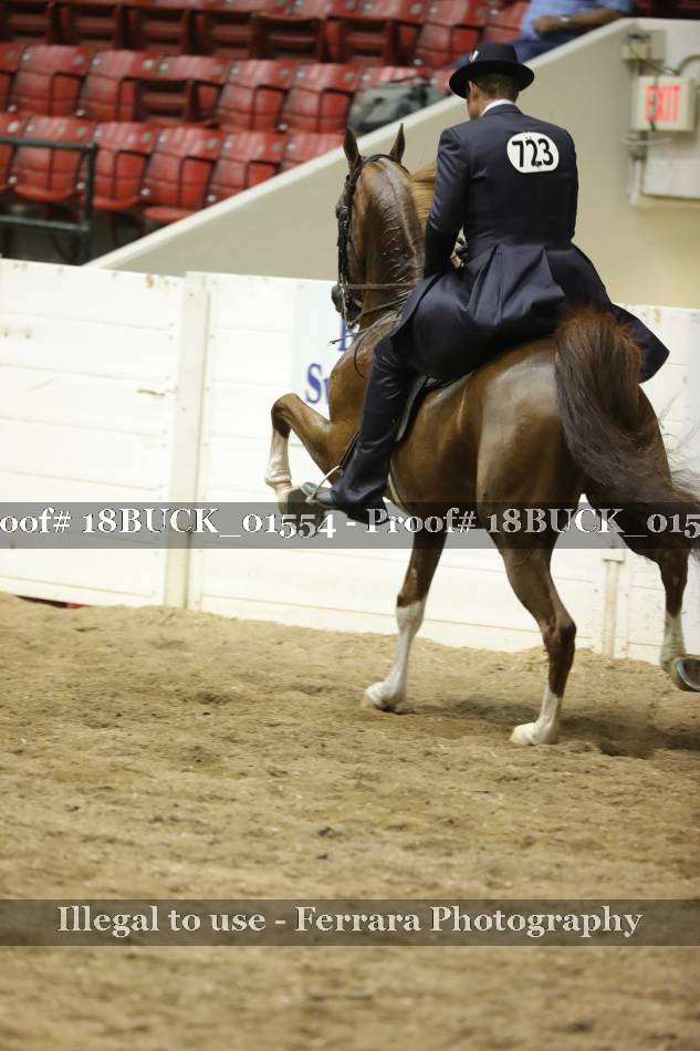 Proof 18BUCK_01554