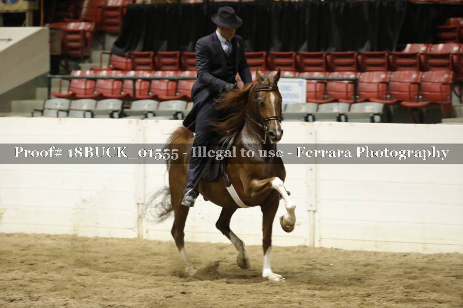 Proof 18BUCK_01555