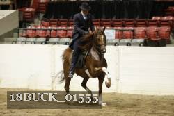 18BUCK_01555 proof