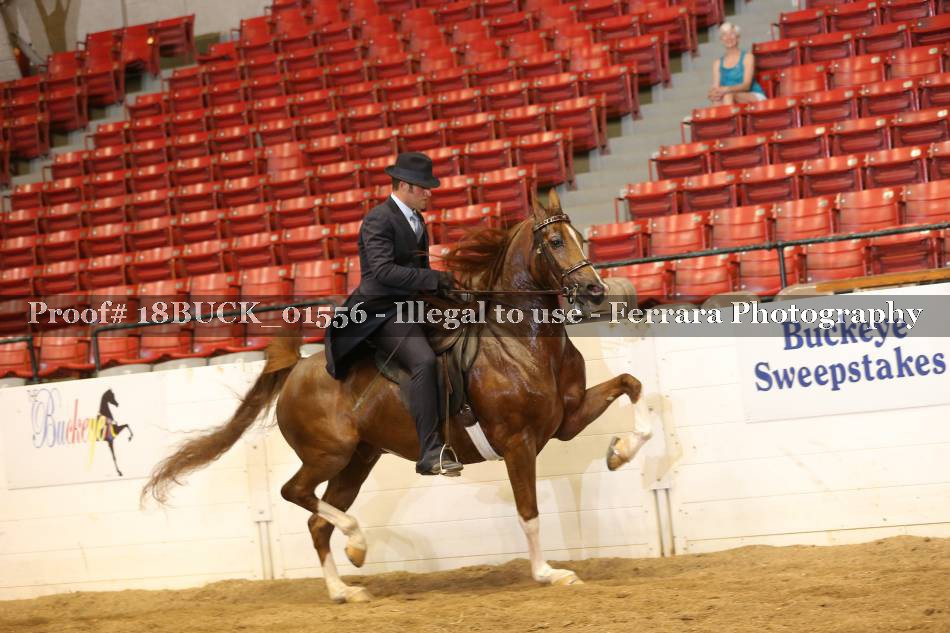 Proof 18BUCK_01556