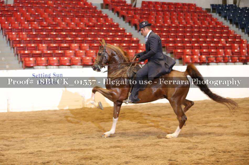 Proof 18BUCK_01557