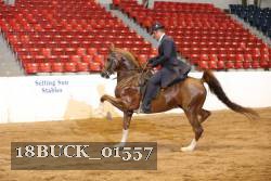 18BUCK_01557 proof