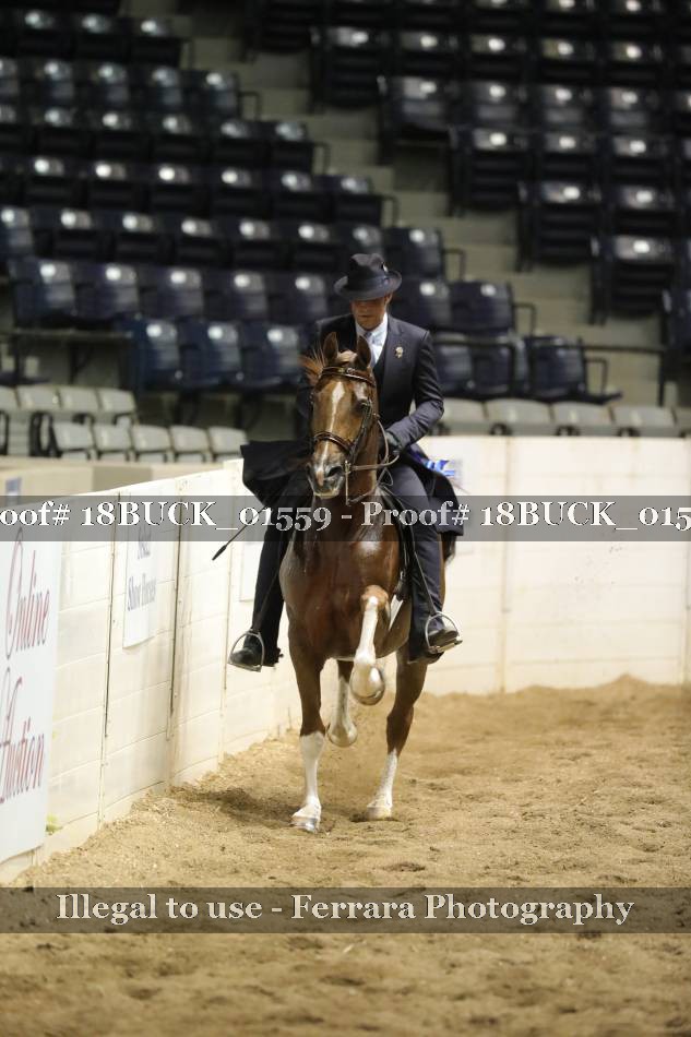 Proof 18BUCK_01559
