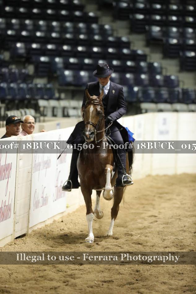 Proof 18BUCK_01560