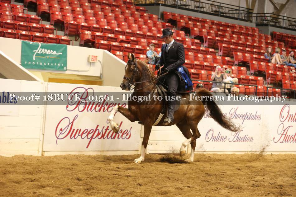 Proof 18BUCK_01561