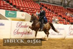 18BUCK_01561 proof