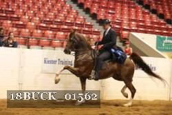 18BUCK_01562 proof
