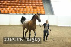 18BUCK_01563 proof