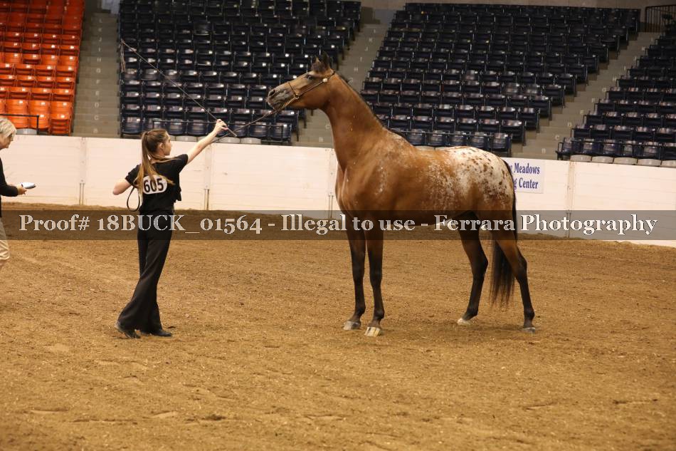 Proof 18BUCK_01564