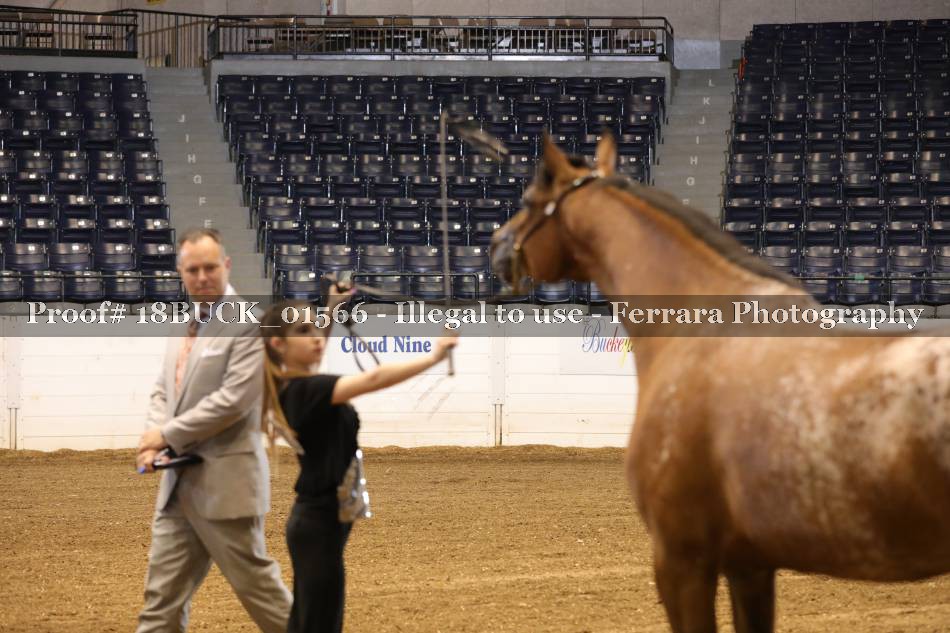 Proof 18BUCK_01566