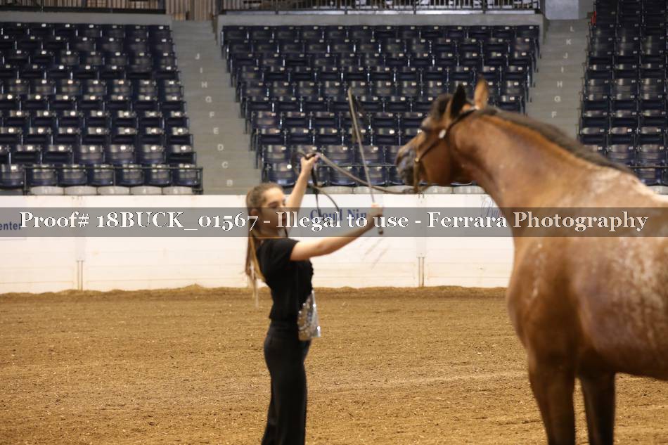 Proof 18BUCK_01567
