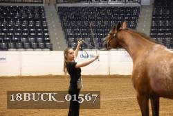 18BUCK_01567 proof