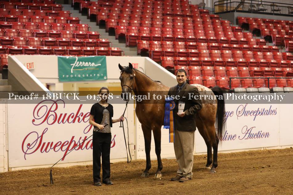 Proof 18BUCK_01568
