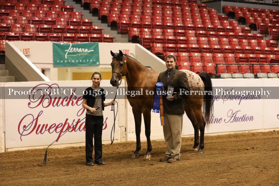 Proof 18BUCK_01569