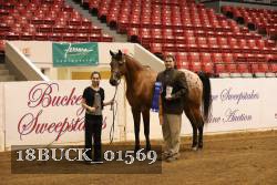 18BUCK_01569 proof
