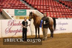 18BUCK_01570 proof