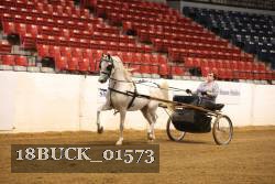 18BUCK_01573 proof