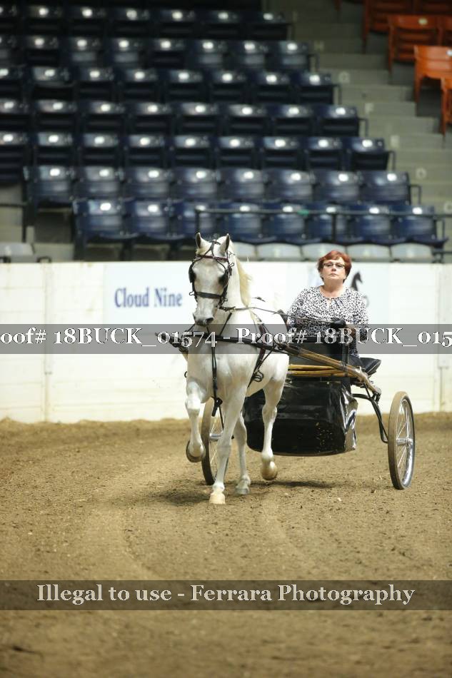 Proof 18BUCK_01574