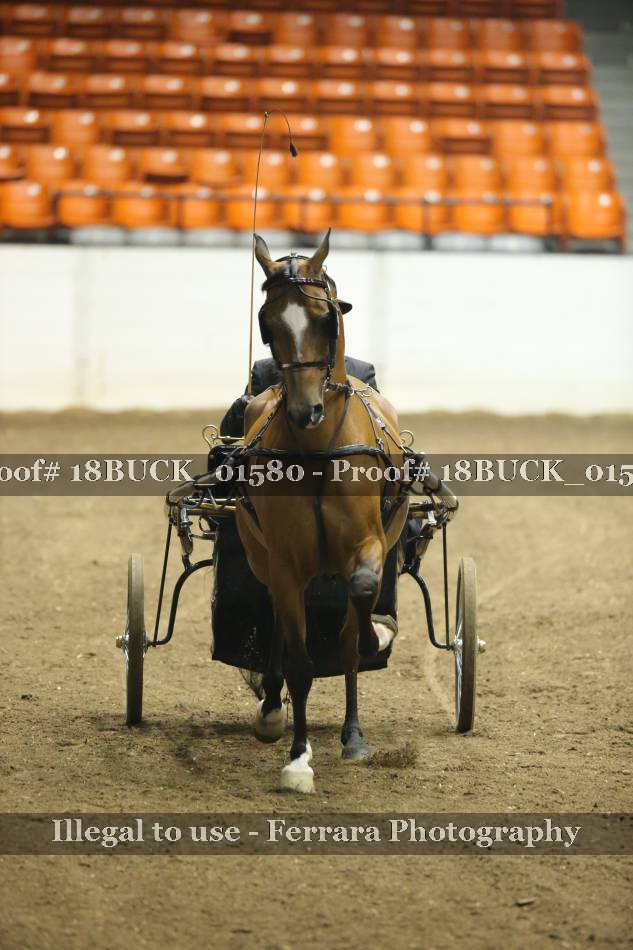 Proof 18BUCK_01580